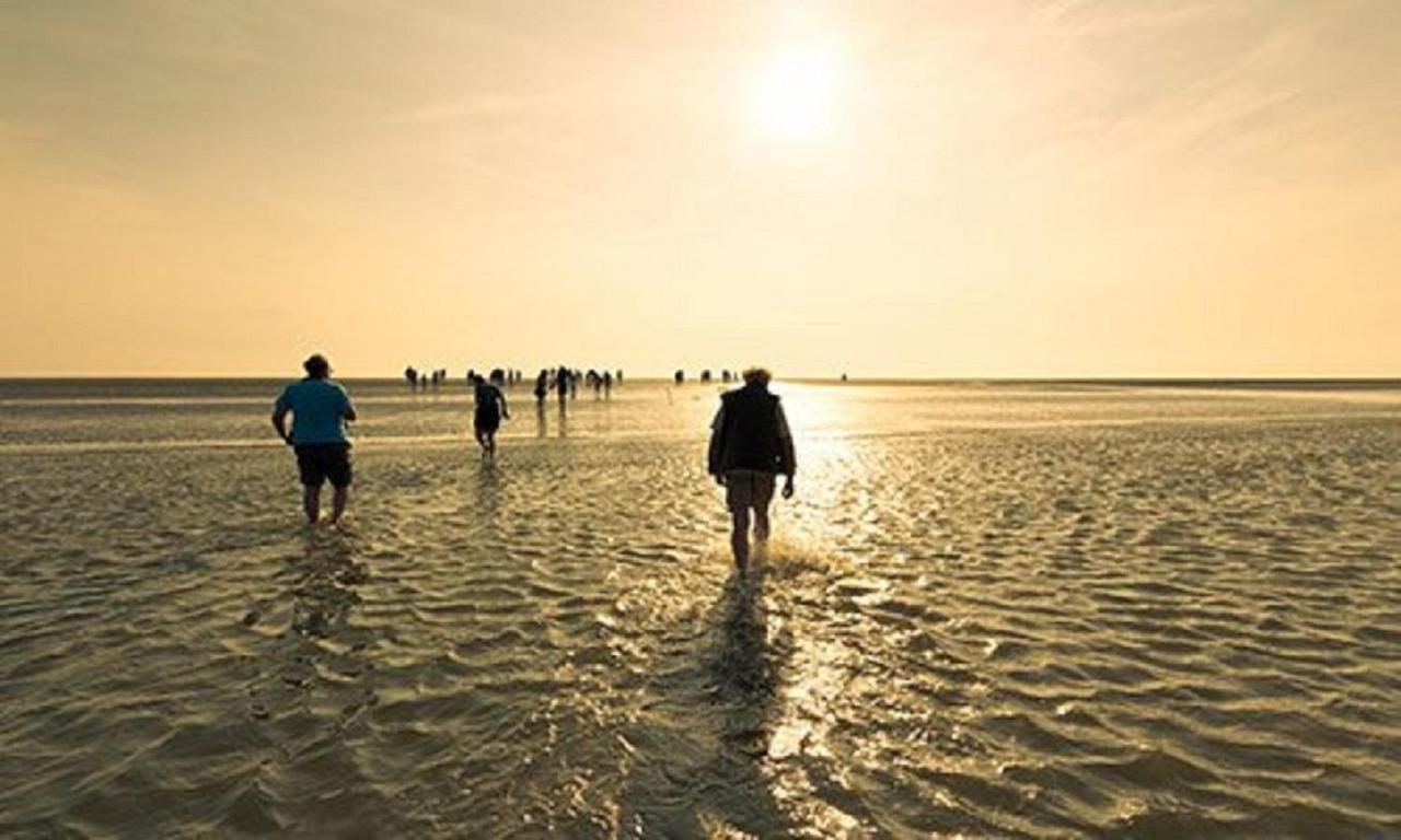 Chalet Op Camping Lauwersoog Met 3 Slaapkamers En Vaatwasser - Joycasa Εξωτερικό φωτογραφία